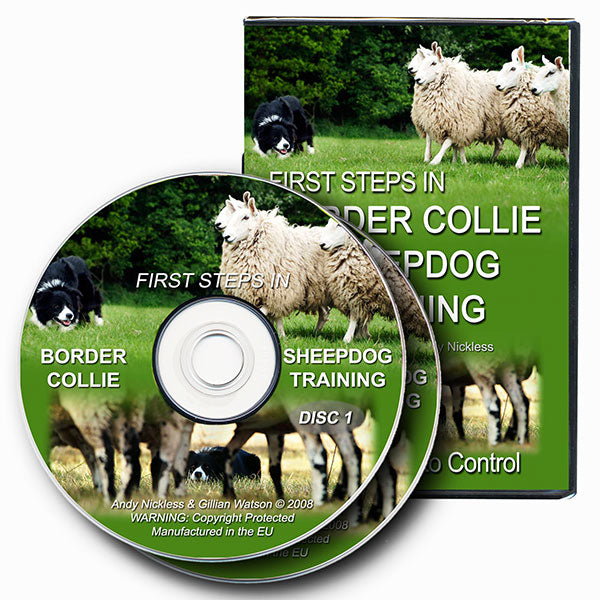 First Steps in Border Collie Sheepdog Training DVD