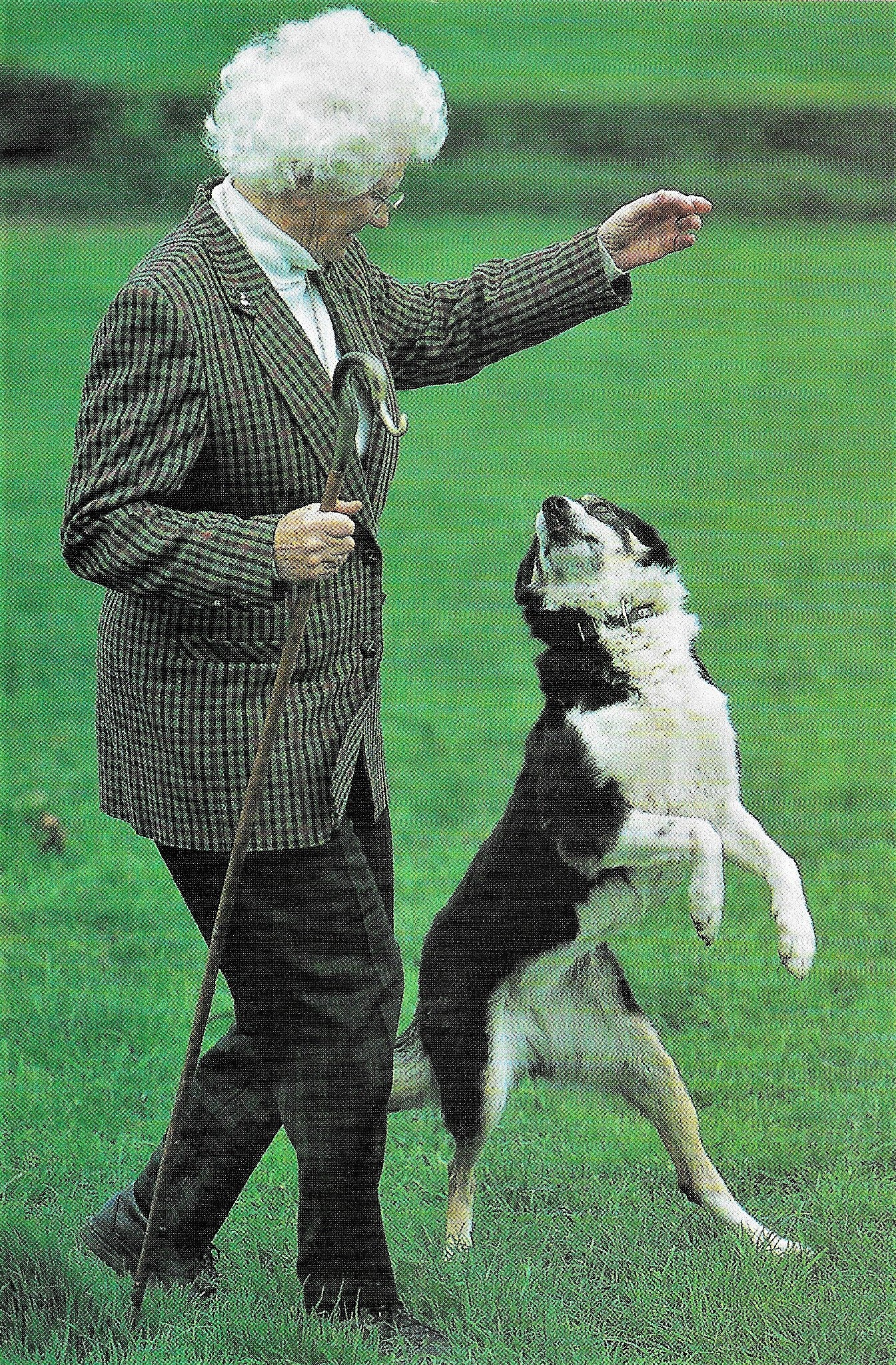 Mary Heaton's Sheepdog Scrapbook Collection
