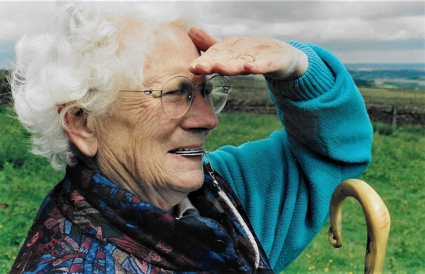 Mary Heaton's Sheepdog Scrapbook Collection