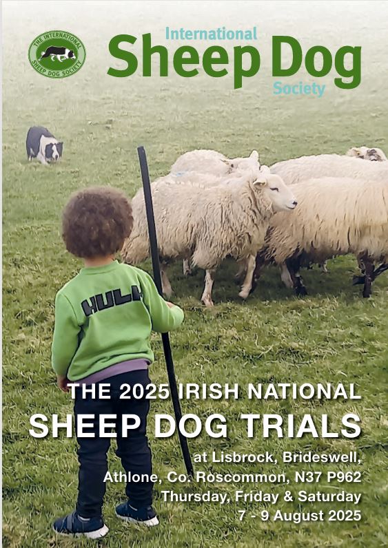 2025 Irish National E-Programme