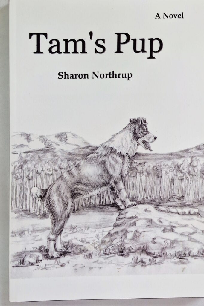 Sharon Northrup Novels