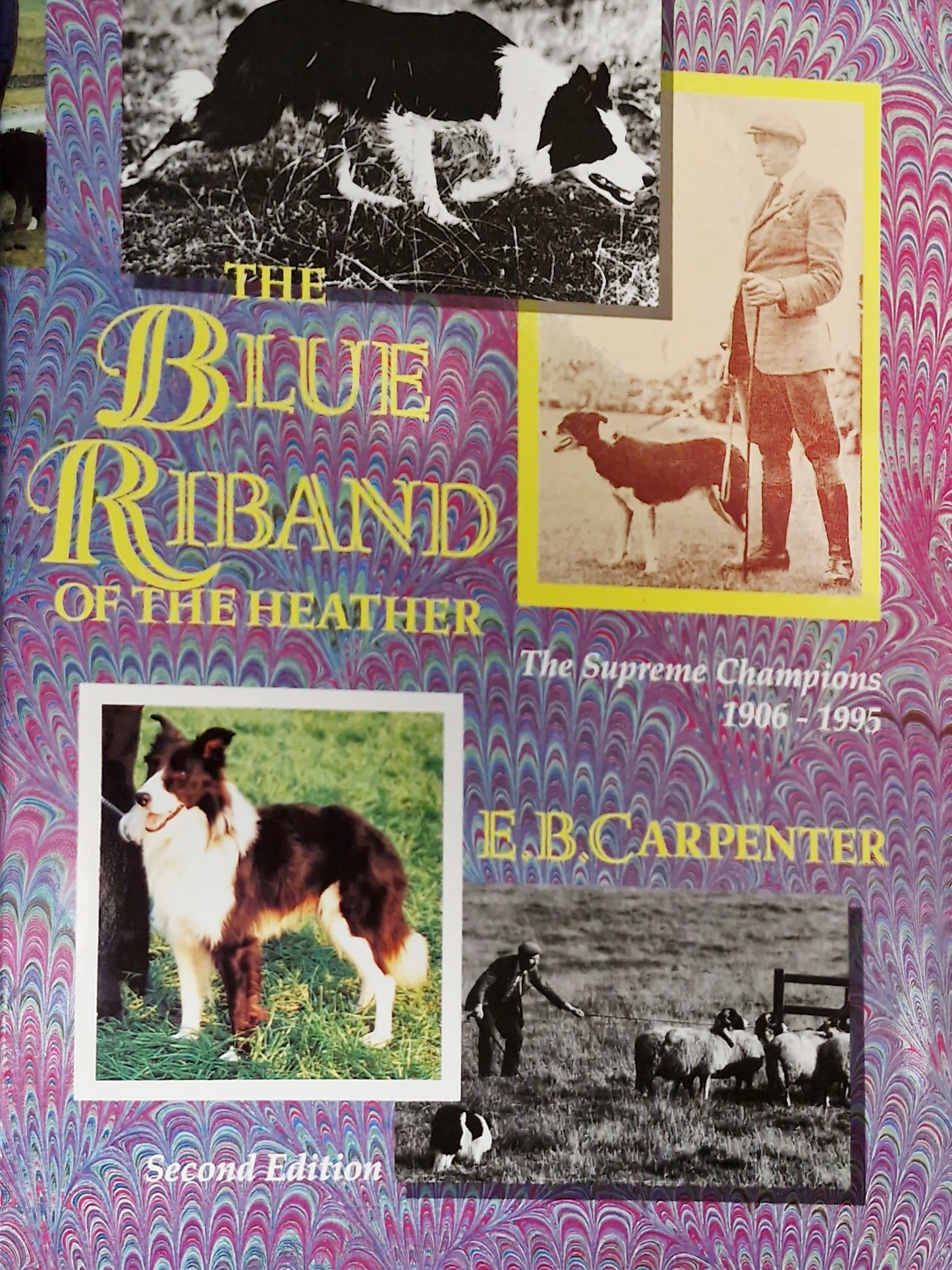 The Blue Riband of the Heather by Barbara Carpenter