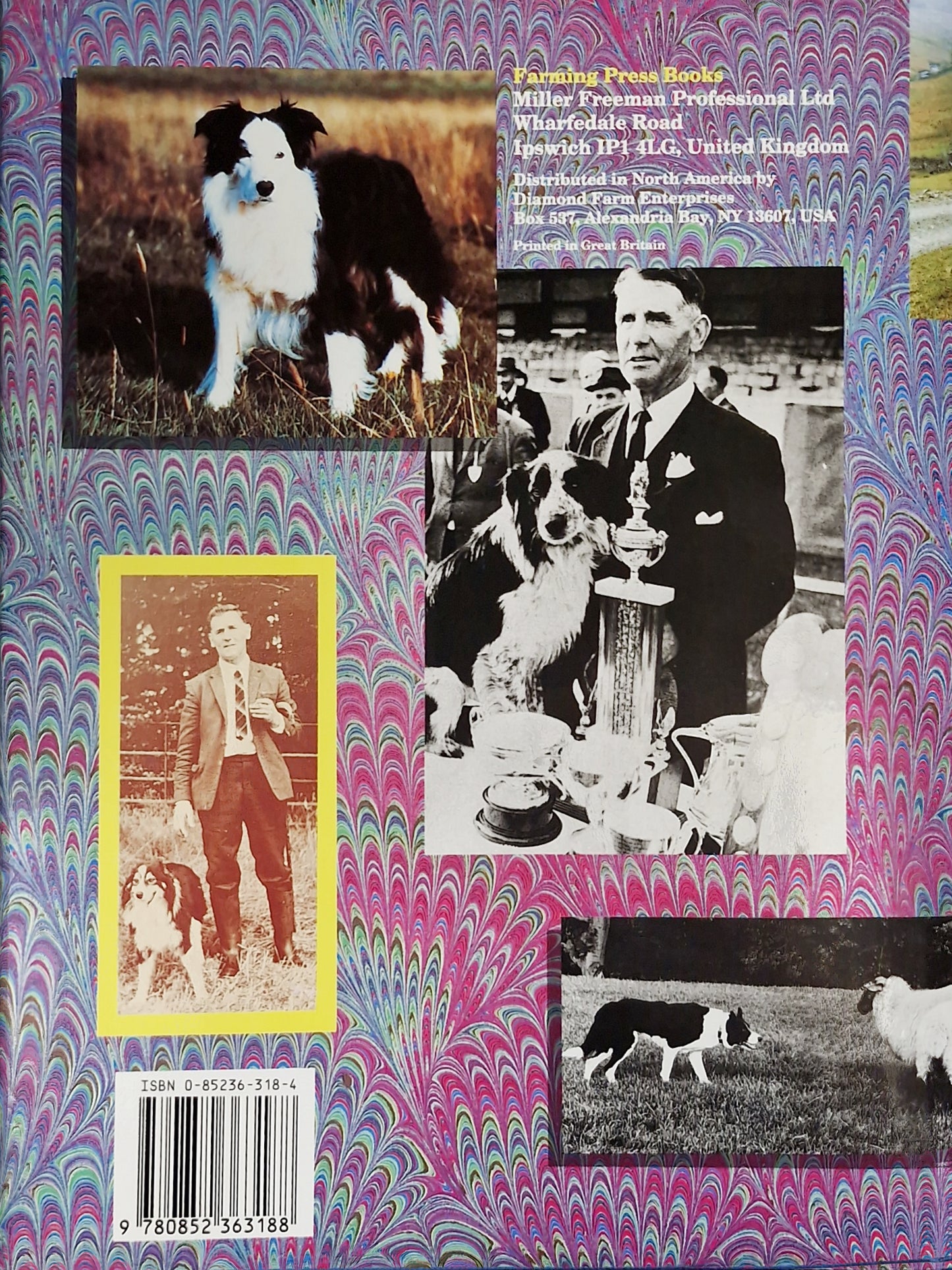 The Blue Riband of the Heather by Barbara Carpenter