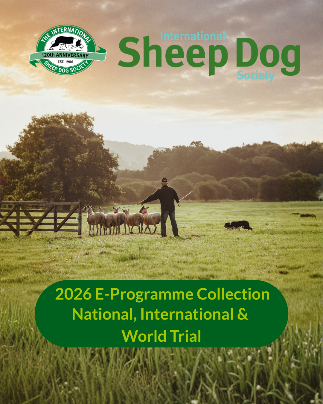 2026 E-Programmes (National, International & World)