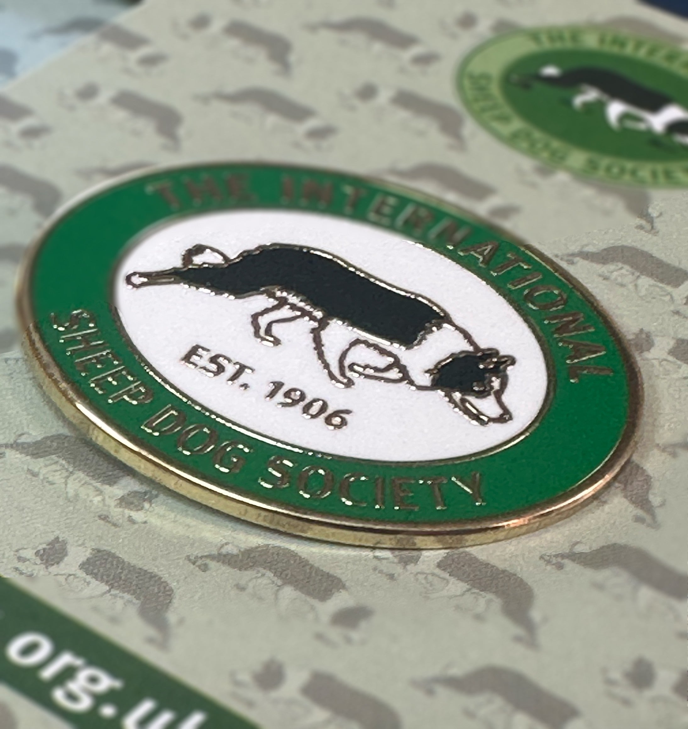 NEW ISDS logo Pin badge green & white