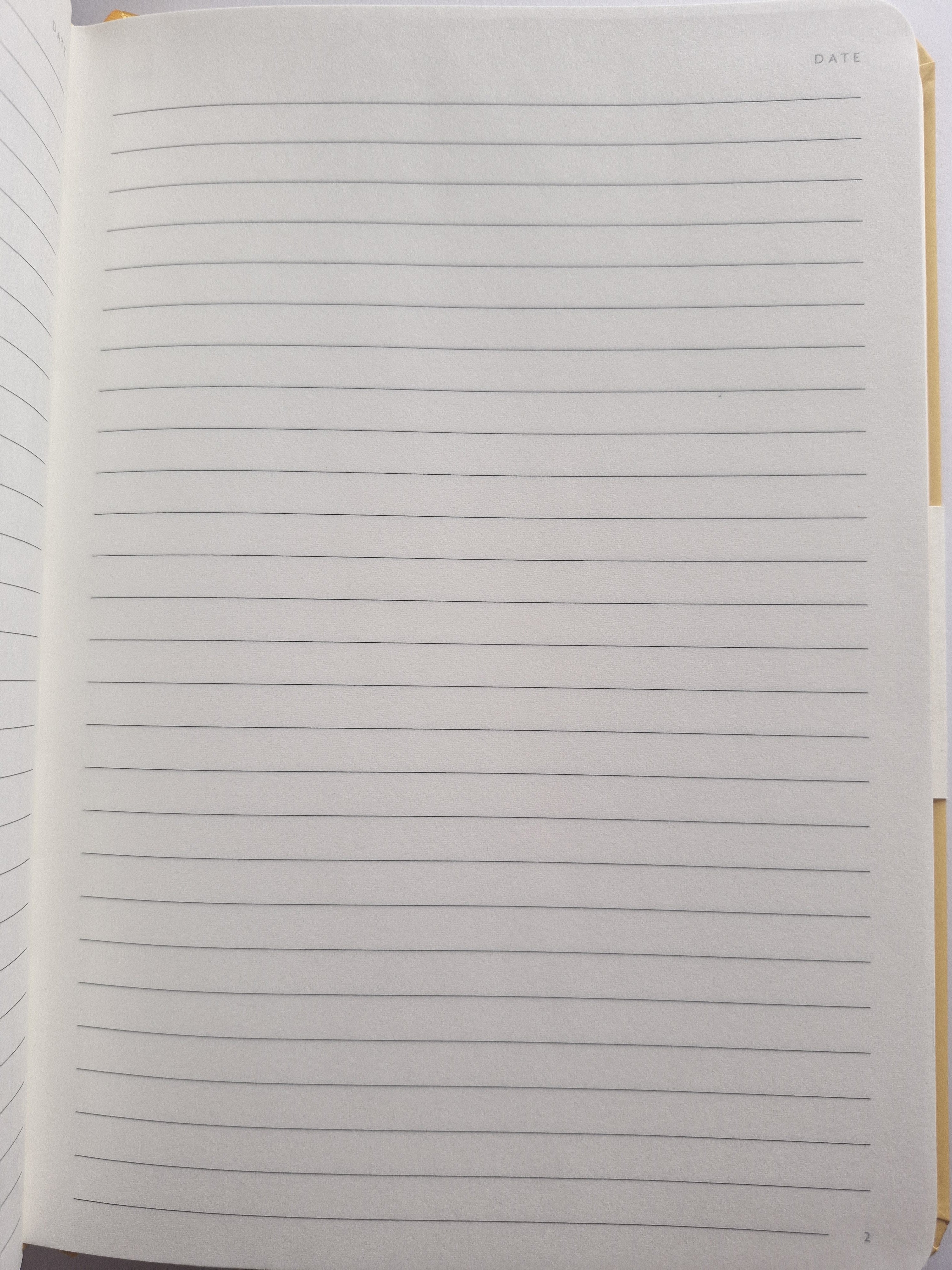 A5 Notebook with Collie pup