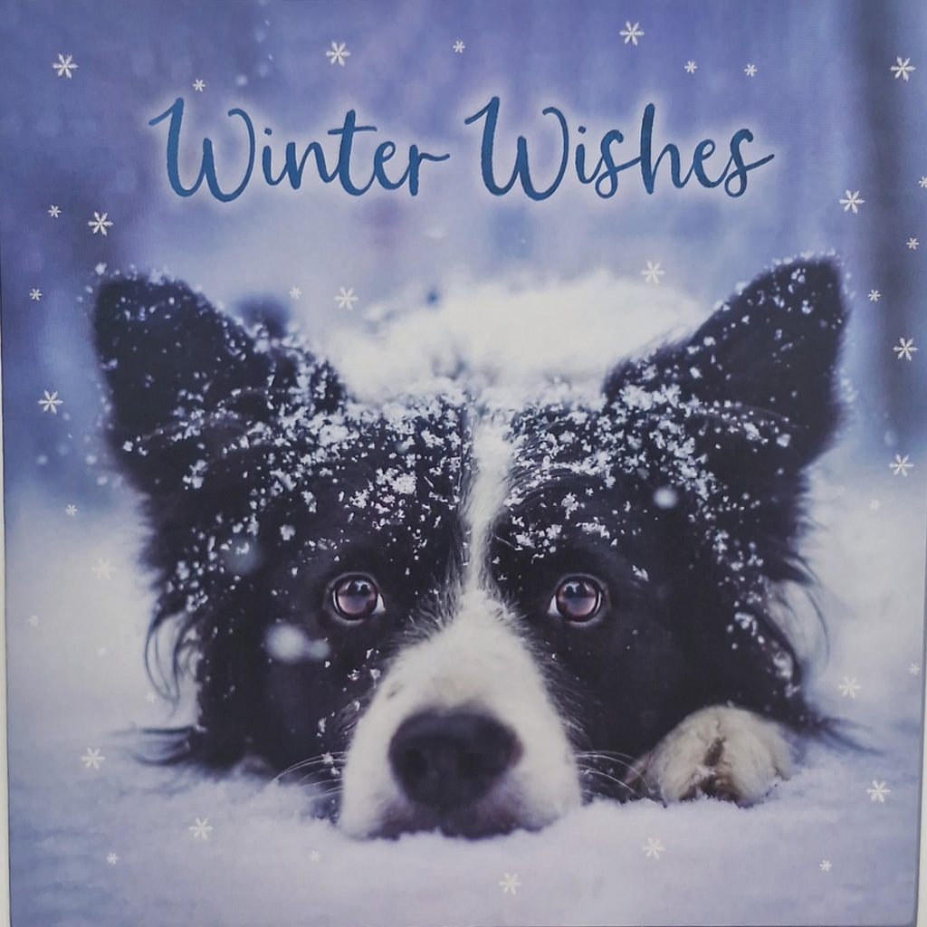 Christmas cards NEW 2026