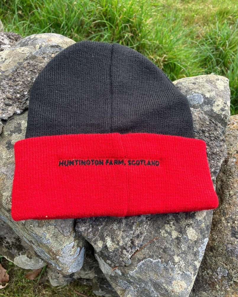 World Trial 2026 knitted Ski Hat