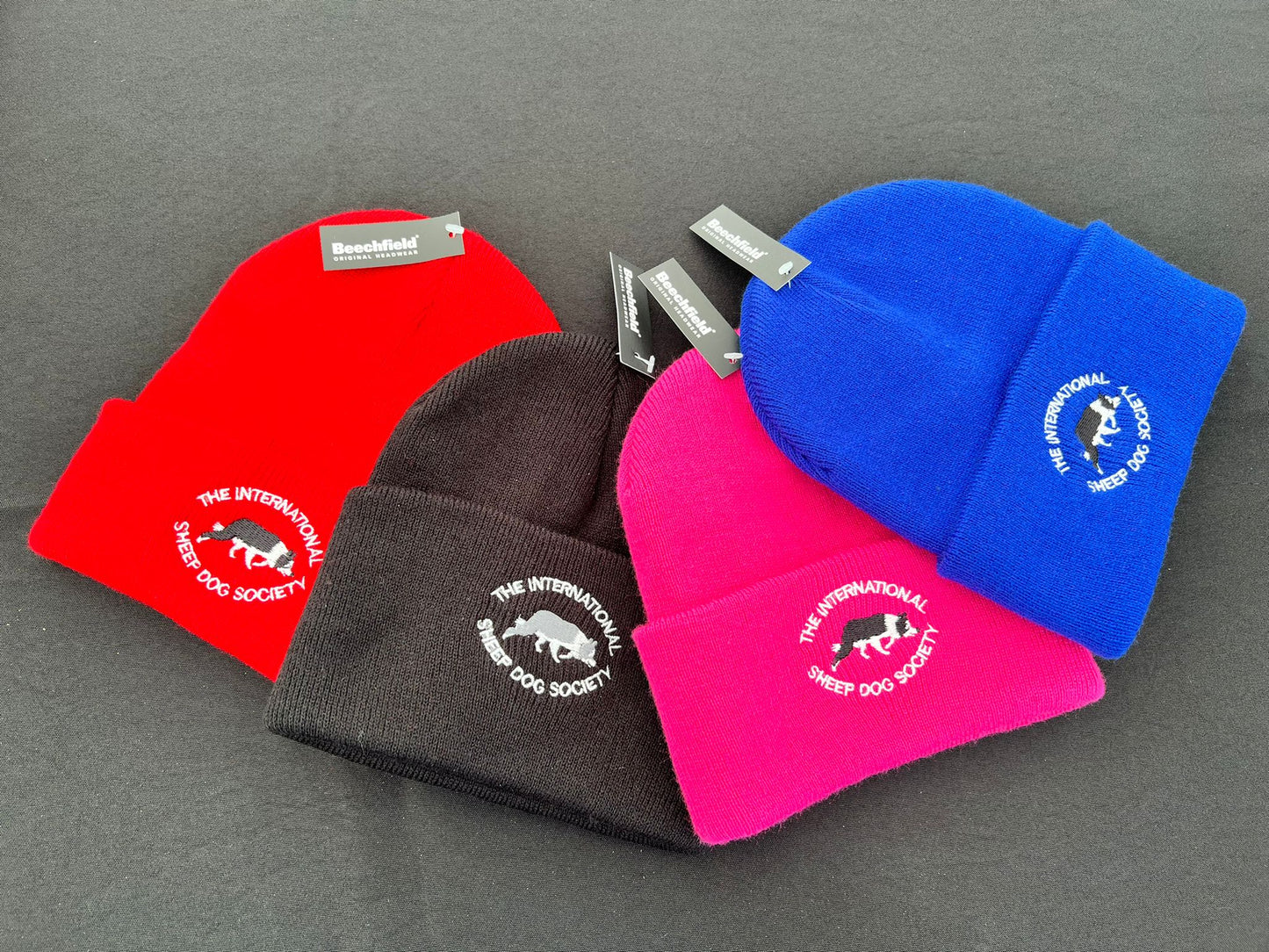 Children's ISDS Beanie hat