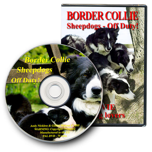 Border Collies Off Duty DVD