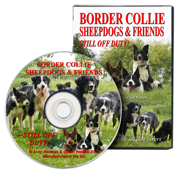 Border Collies Off Duty DVD