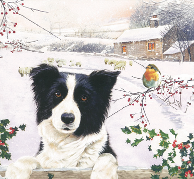 Christmas Cards