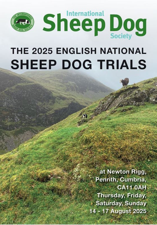 2025 English National E-Programme