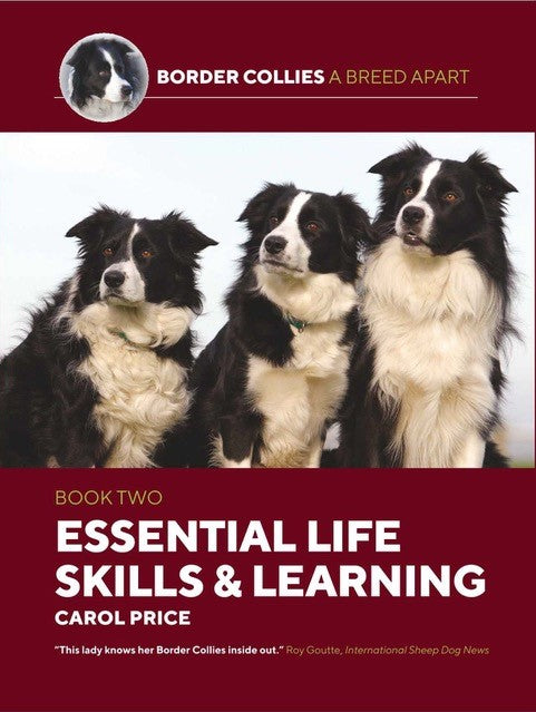 ESSENTIAL LIFE SKILLS & LEARNING by Carol Price