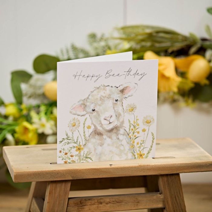 Single Cards & Envelopes