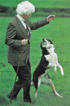 Mary Heaton's Sheepdog Scrapbook Collection
