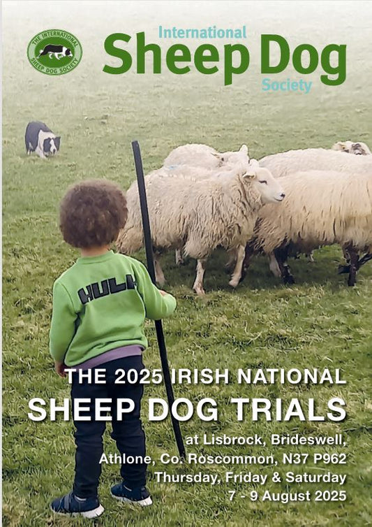 2025 Irish National E-Programme
