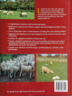 Lameness in Sheep