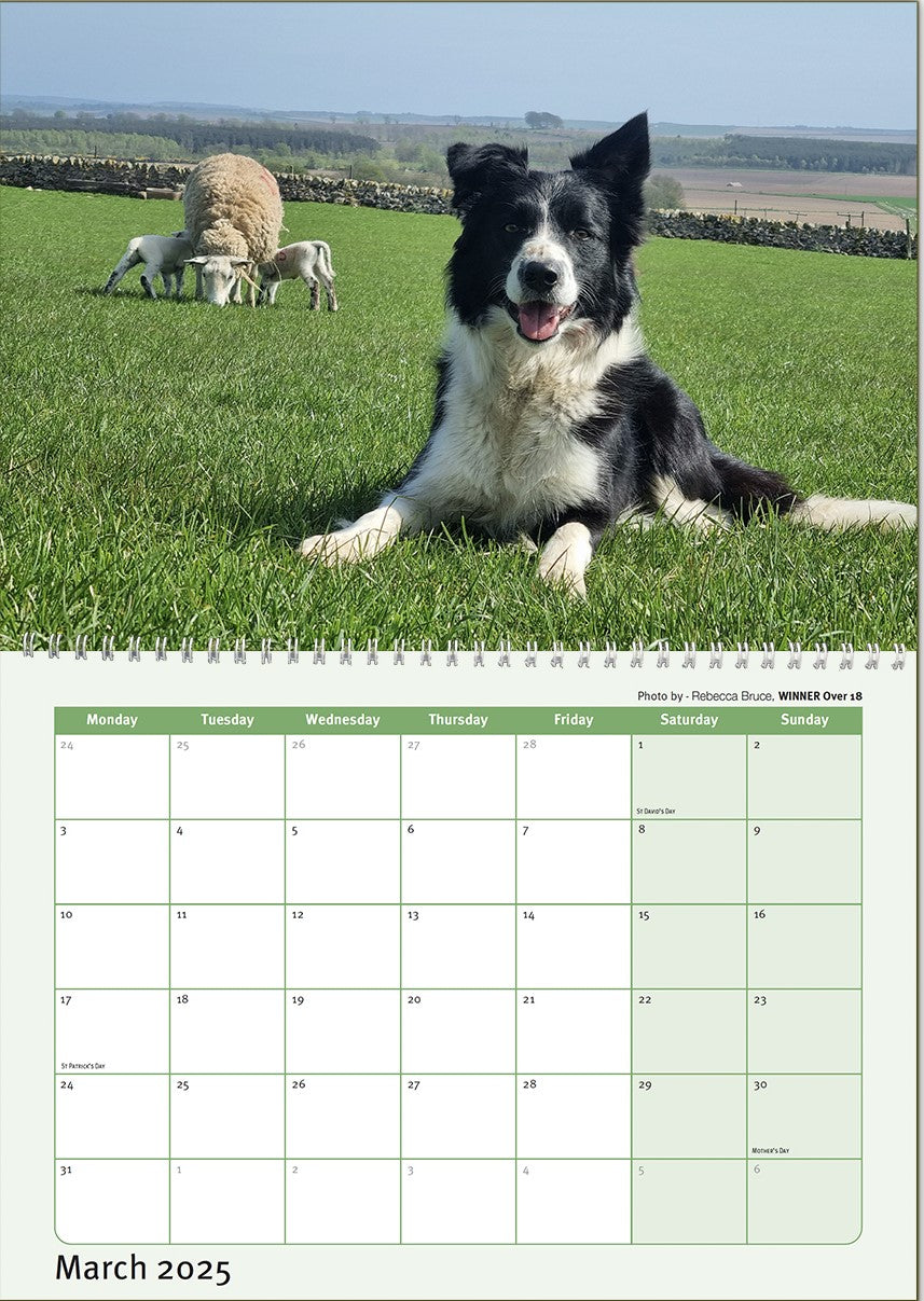2025 ISDS Calendar