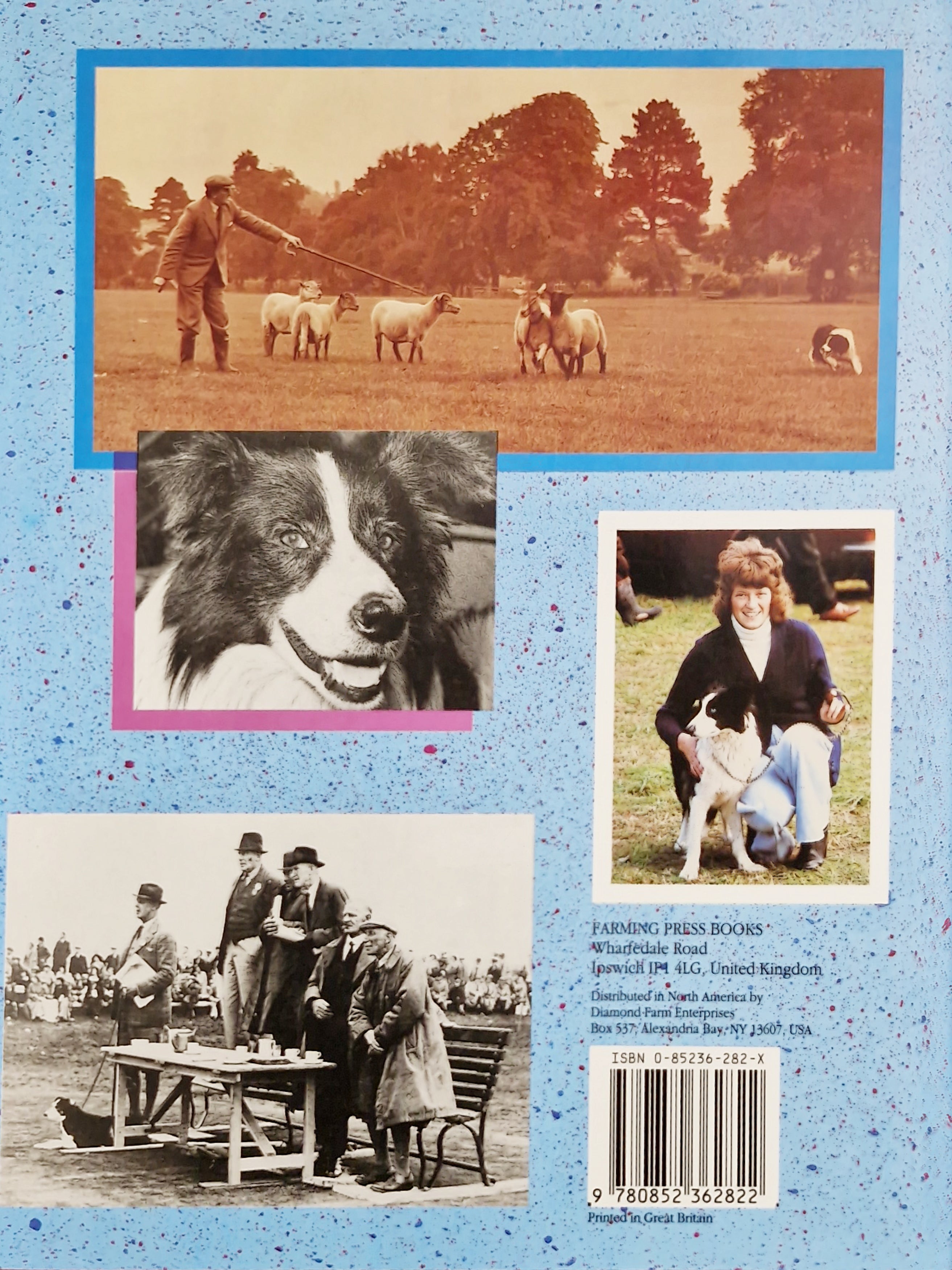 National Sheepdog Champions by Barbara Carpenter book