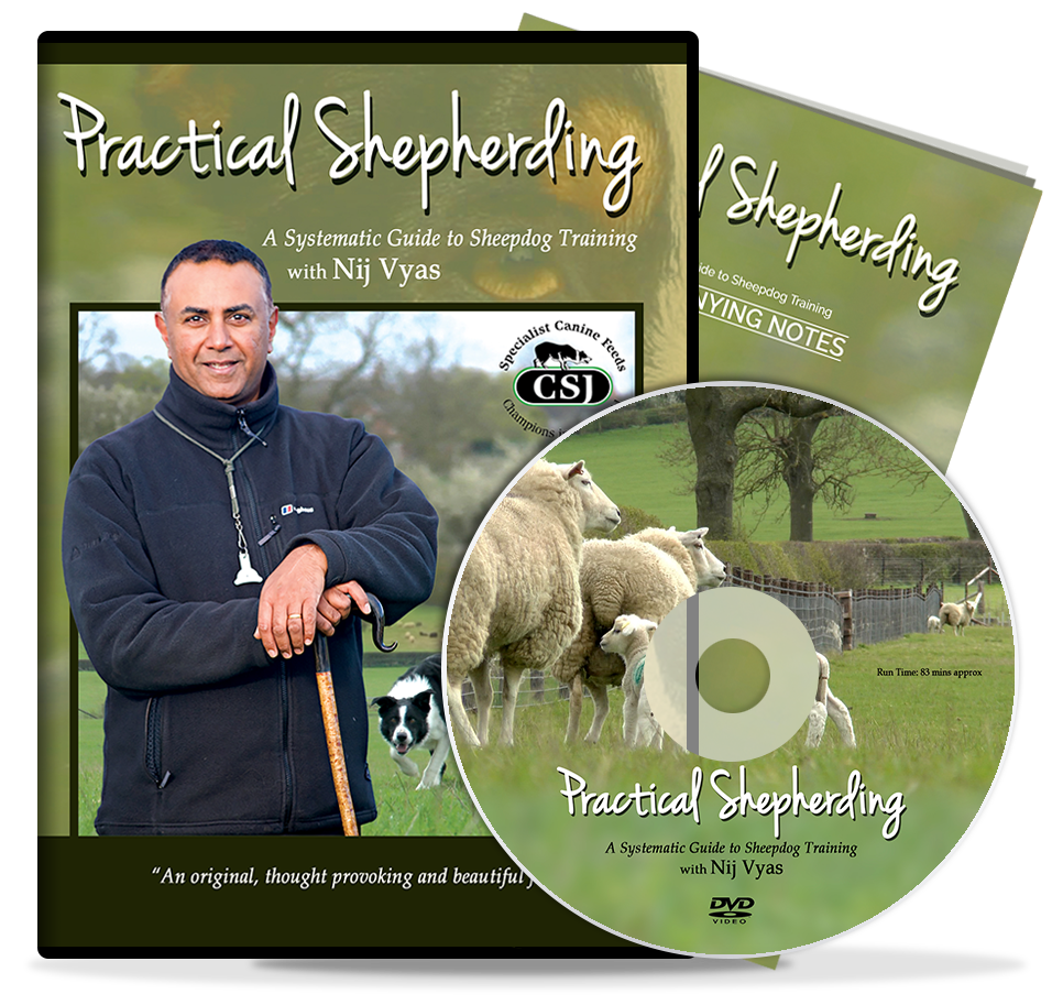 Practical Shepherding DVD by Nij Vyas