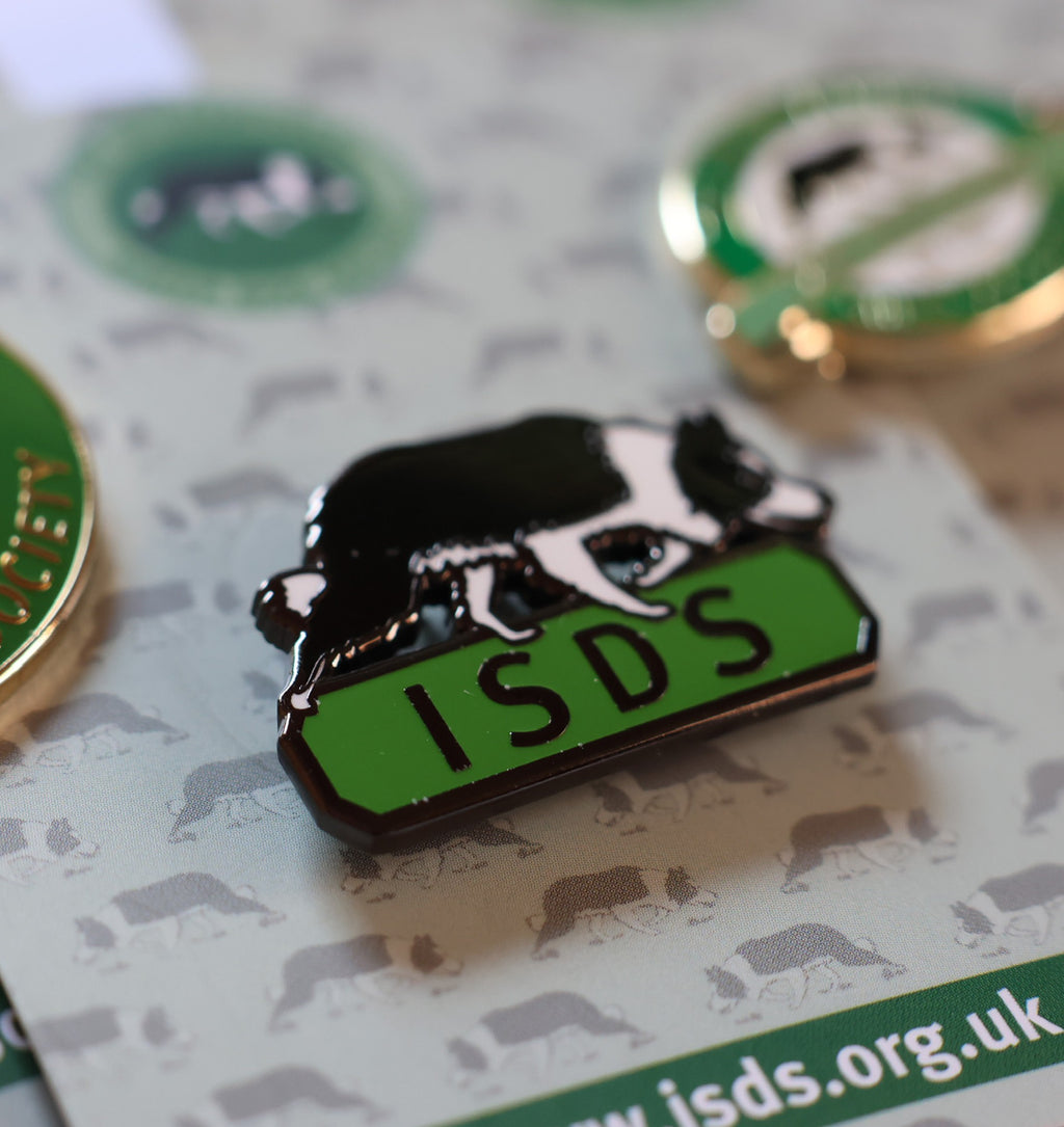 NEW ISDS collie Pin Badge