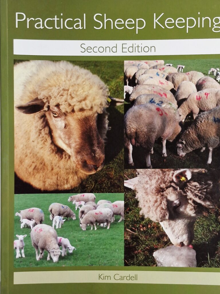 Practical Sheep Keeping