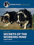 SECRETS OF THE WORKING MIND By Carol Price