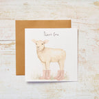 Single Cards & Envelopes