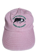 Limited Edition ISDS Children's Vintage caps