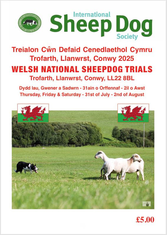 2025 Welsh National E-Programme